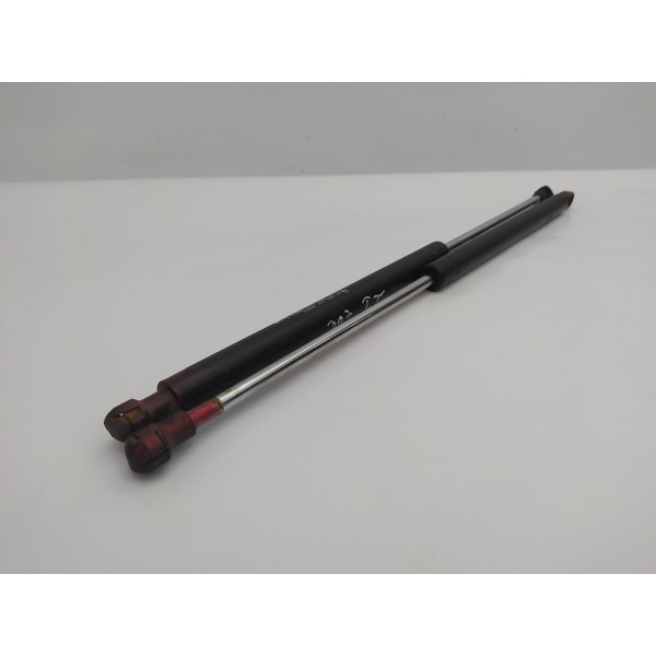 Par Amortecedor Tampa Traseira Peugeot 307 2010 2011