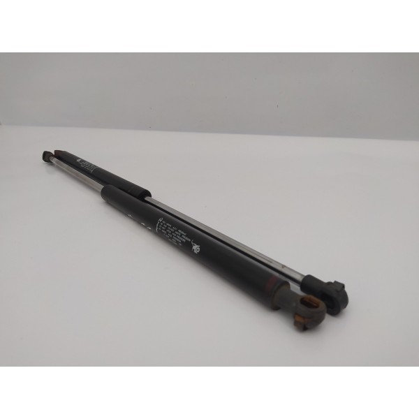 Par Amortecedor Tampa Traseira Peugeot 307 2010 2011